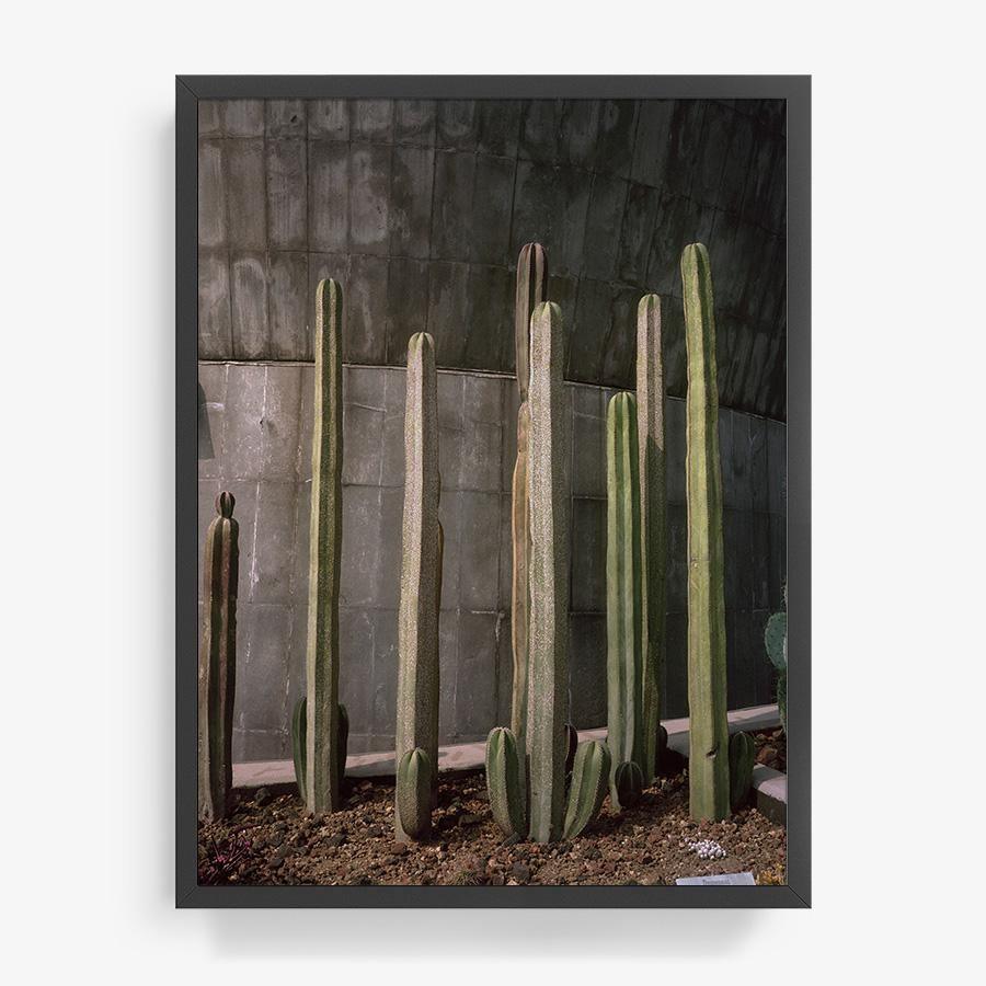 Museo de Caracol, Photography  by  Museo de Caracol Tappan