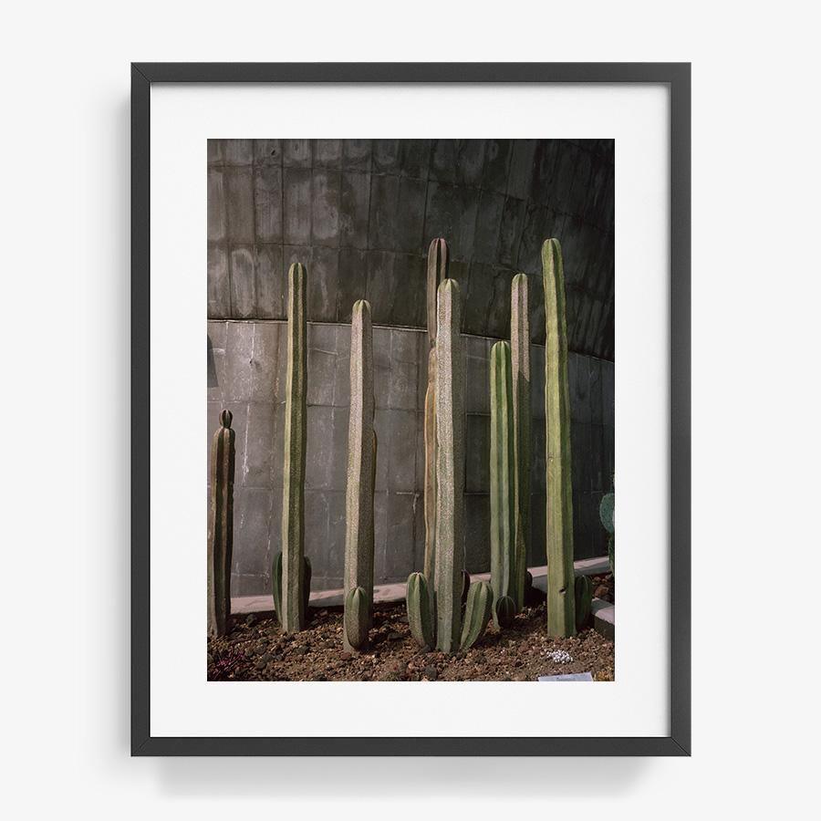 Museo de Caracol, Photography  by  Museo de Caracol Tappan