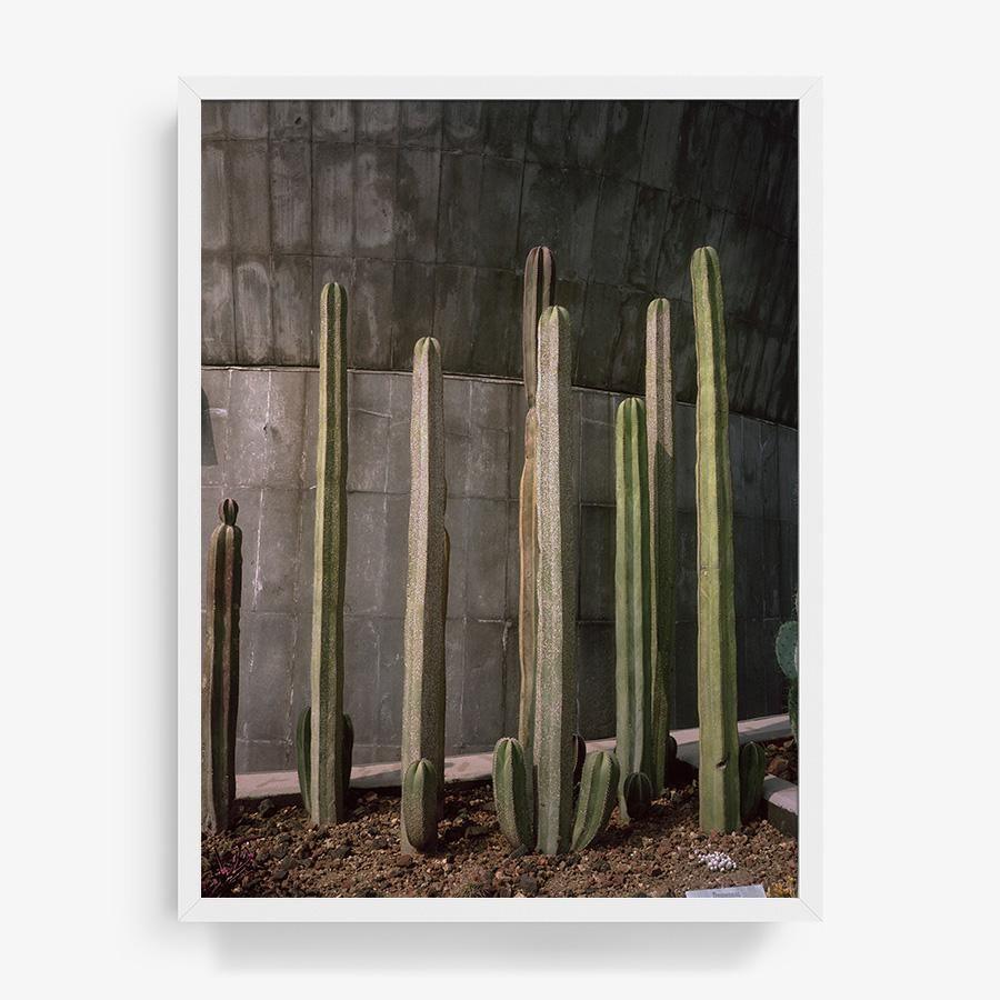 Museo de Caracol, Photography  by  Museo de Caracol Tappan