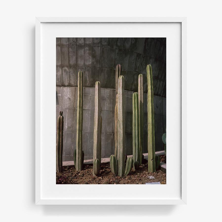 Museo de Caracol, Photography  by  Museo de Caracol Tappan