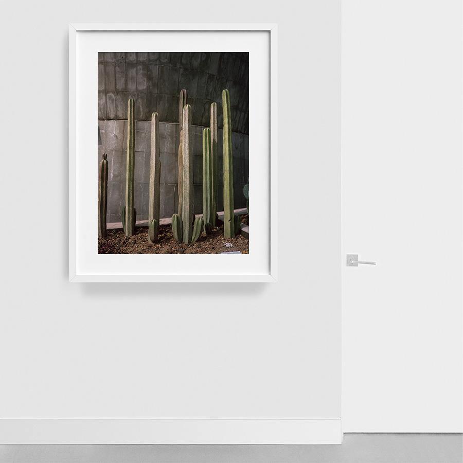 Museo de Caracol, Photography  by  Museo de Caracol Tappan