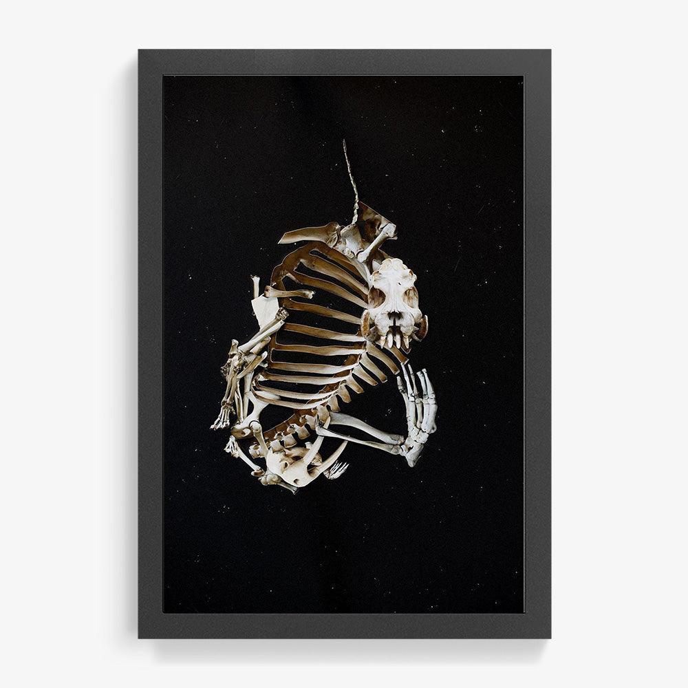 Photograph by Ilka Kramer