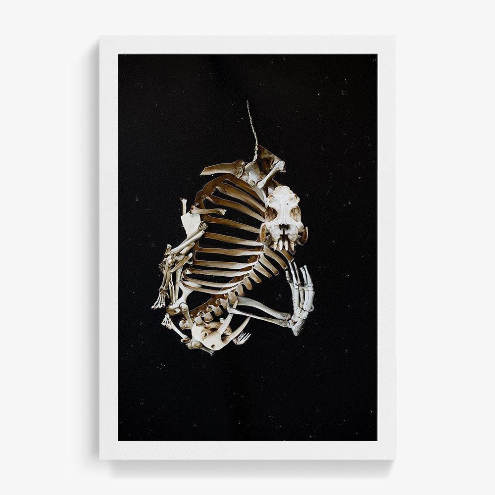Photograph by Ilka Kramer