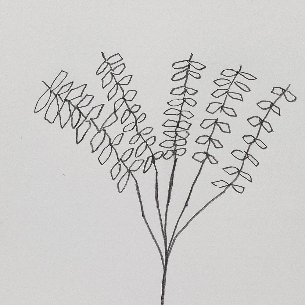 Drawing by Jeff Kraus