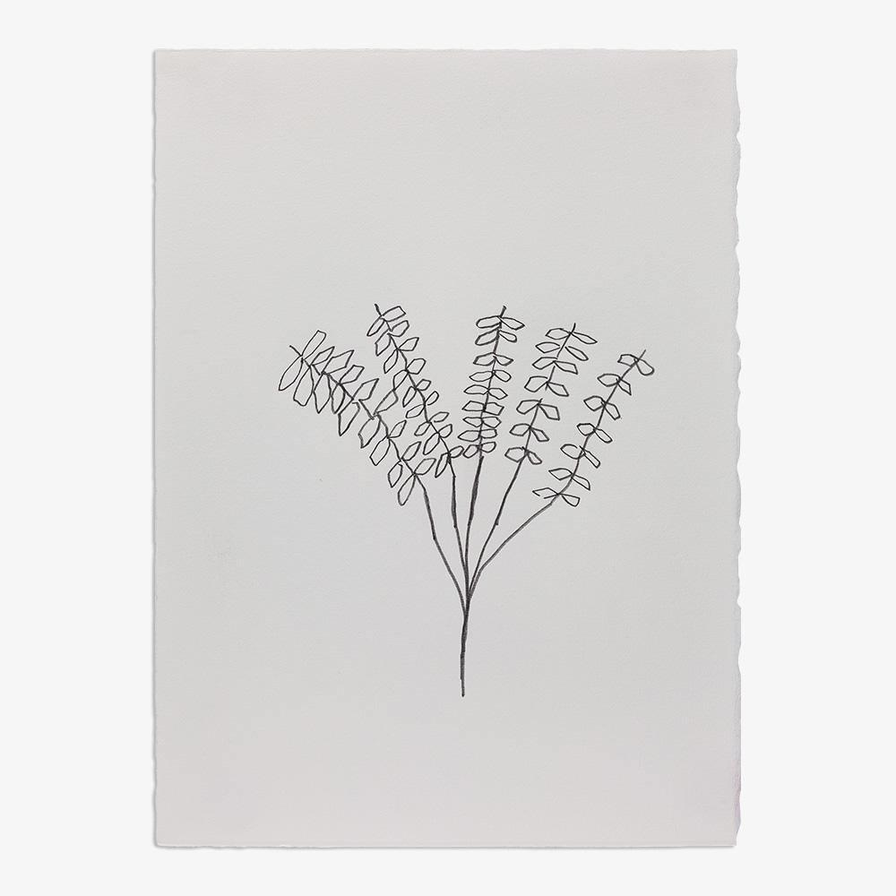 Drawing by Jeff Kraus