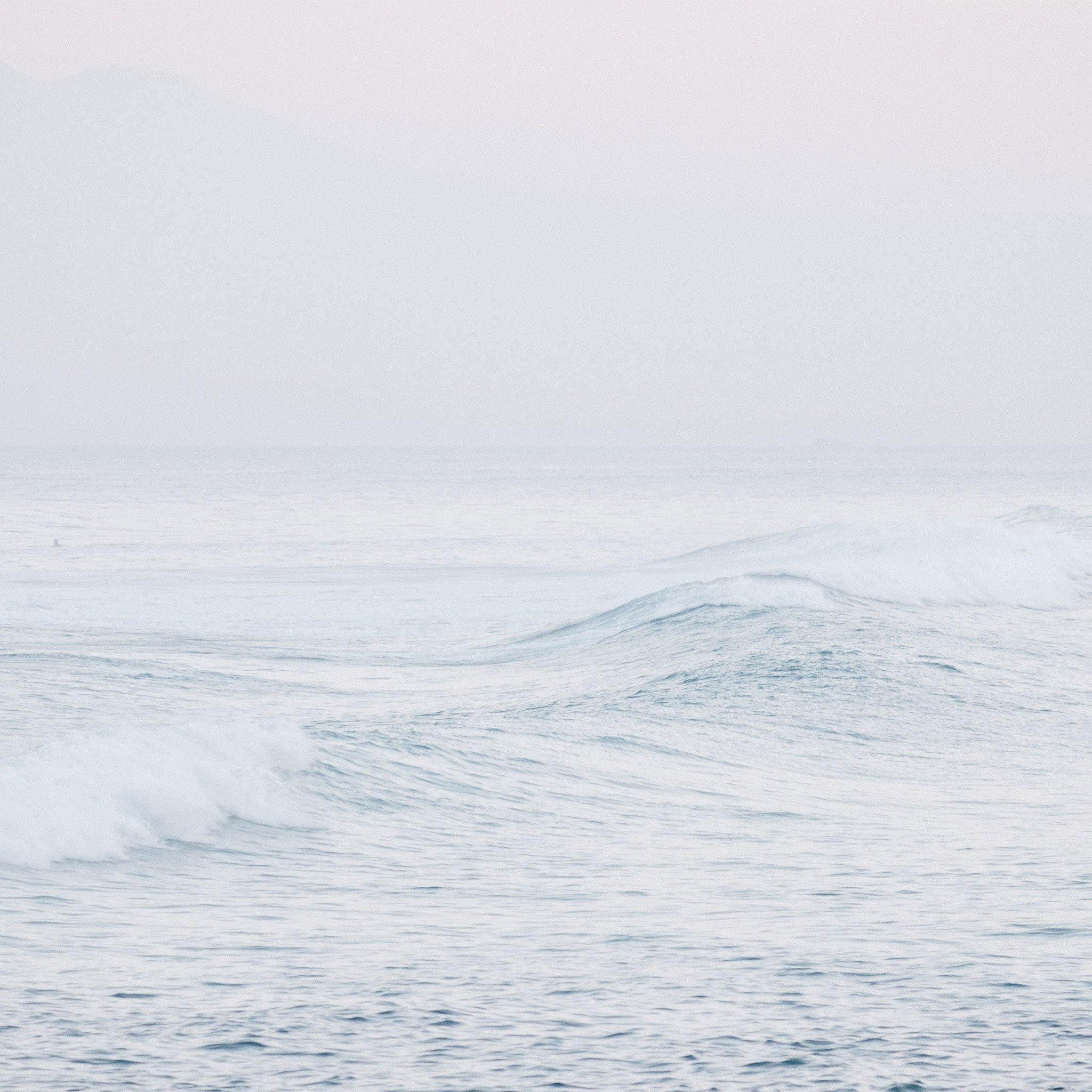 Dreamland , Photography by Dreamland Tappan