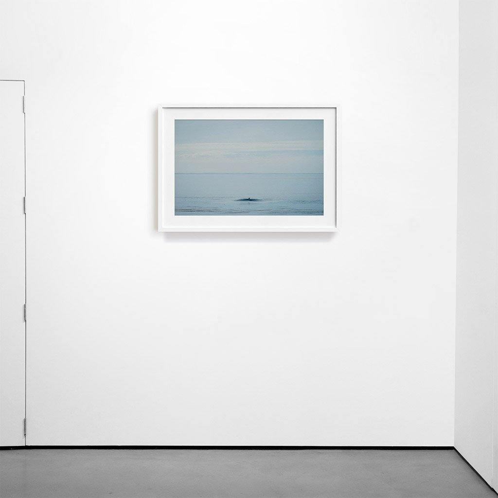 Photograph by Marc Gabor