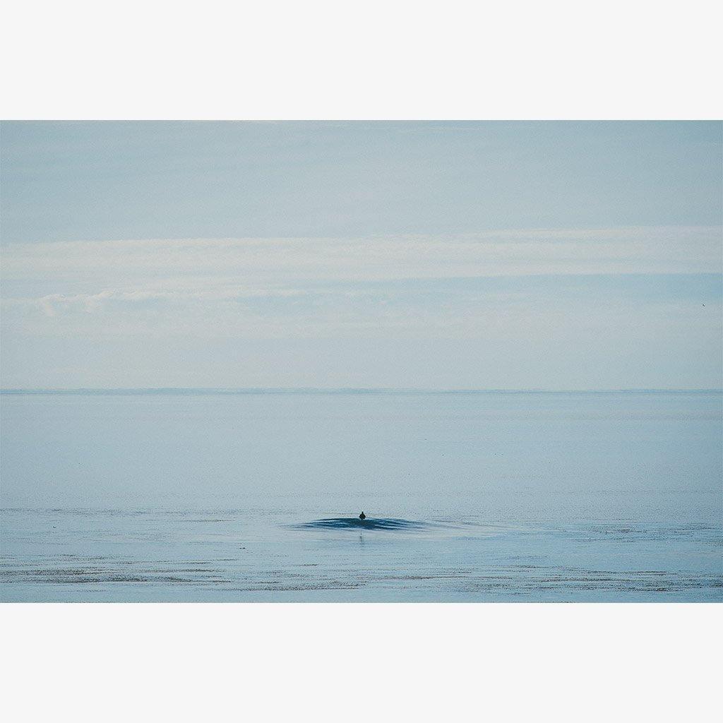 Photograph by Marc Gabor