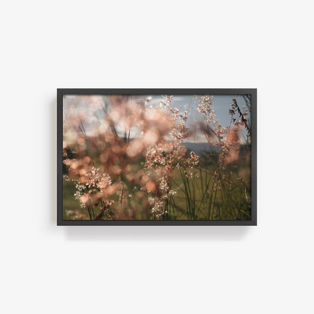 Monte Alban #62, Photography  by  Monte Alban #62 Tappan