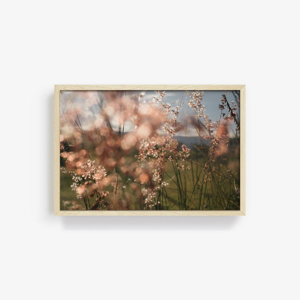 Monte Alban #62, Photography  by  Monte Alban #62 Tappan