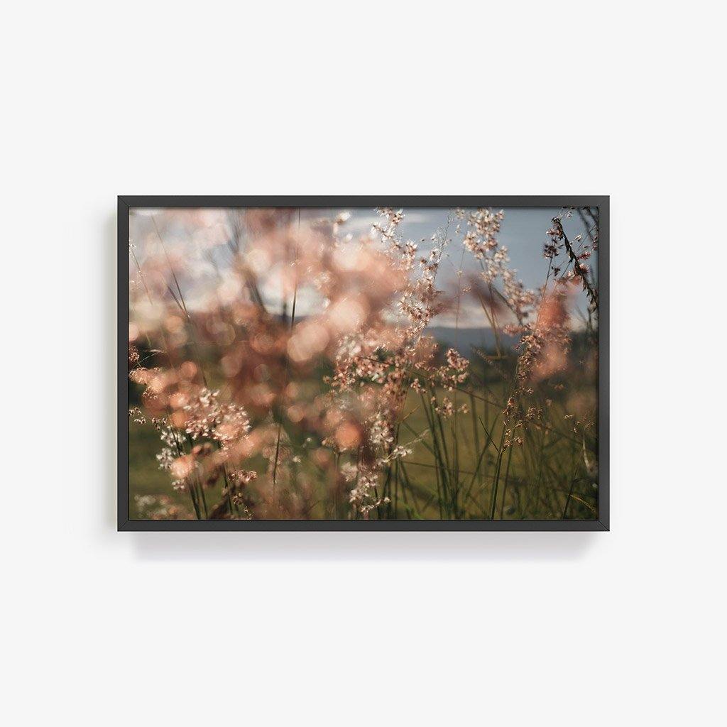 Monte Alban #62, Photography  by  Monte Alban #62 Tappan