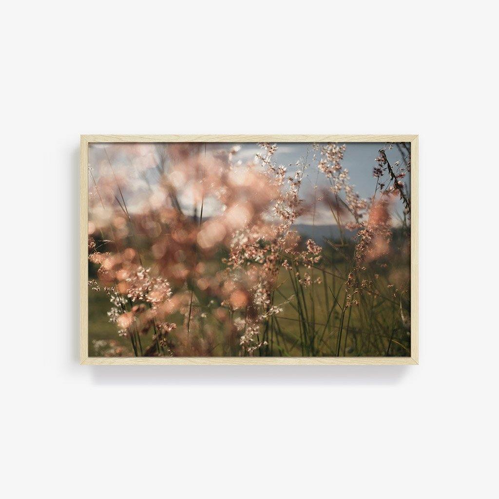Monte Alban #62, Photography  by  Monte Alban #62 Tappan