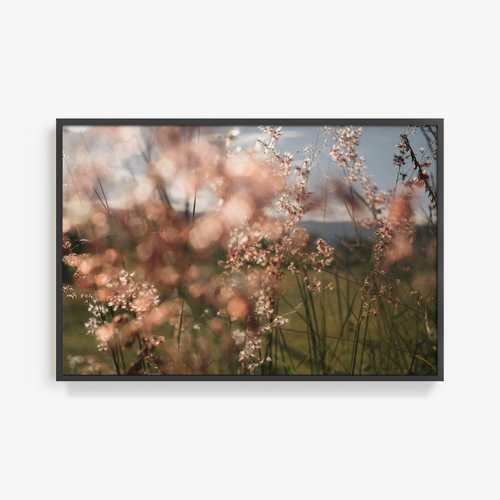 Monte Alban #62, Photography  by  Monte Alban #62 Tappan