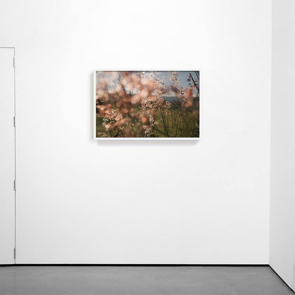 Monte Alban #62, Photography  by  Monte Alban #62 Tappan