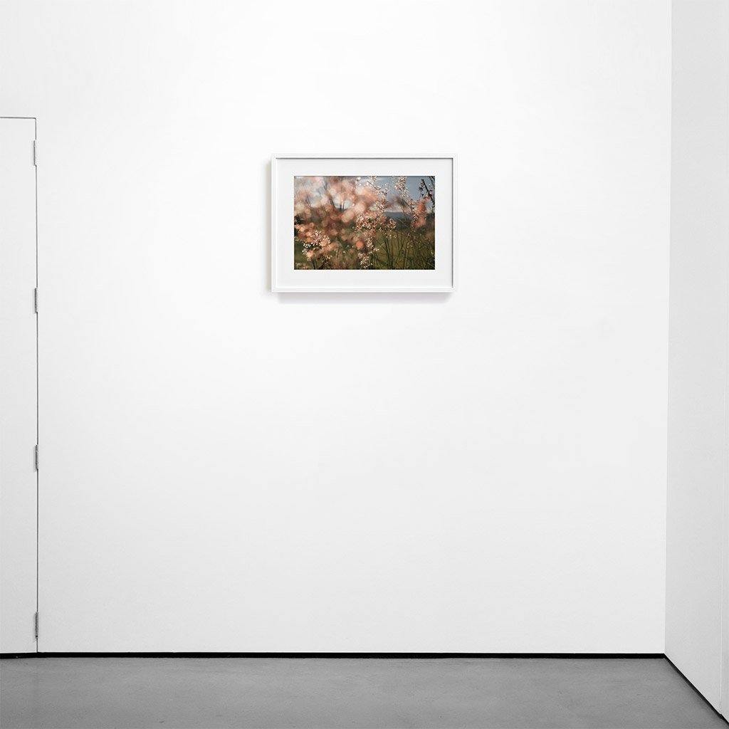 Monte Alban #62, Photography  by  Monte Alban #62 Tappan