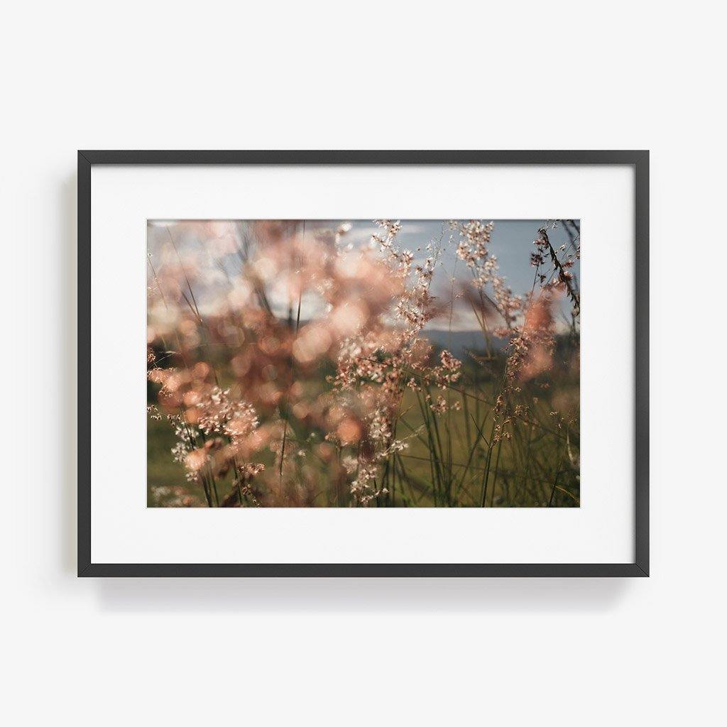 Monte Alban #62, Photography  by  Monte Alban #62 Tappan