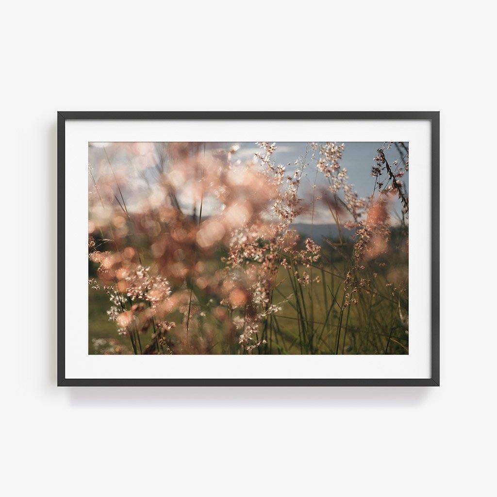 Monte Alban #62, Photography  by  Monte Alban #62 Tappan