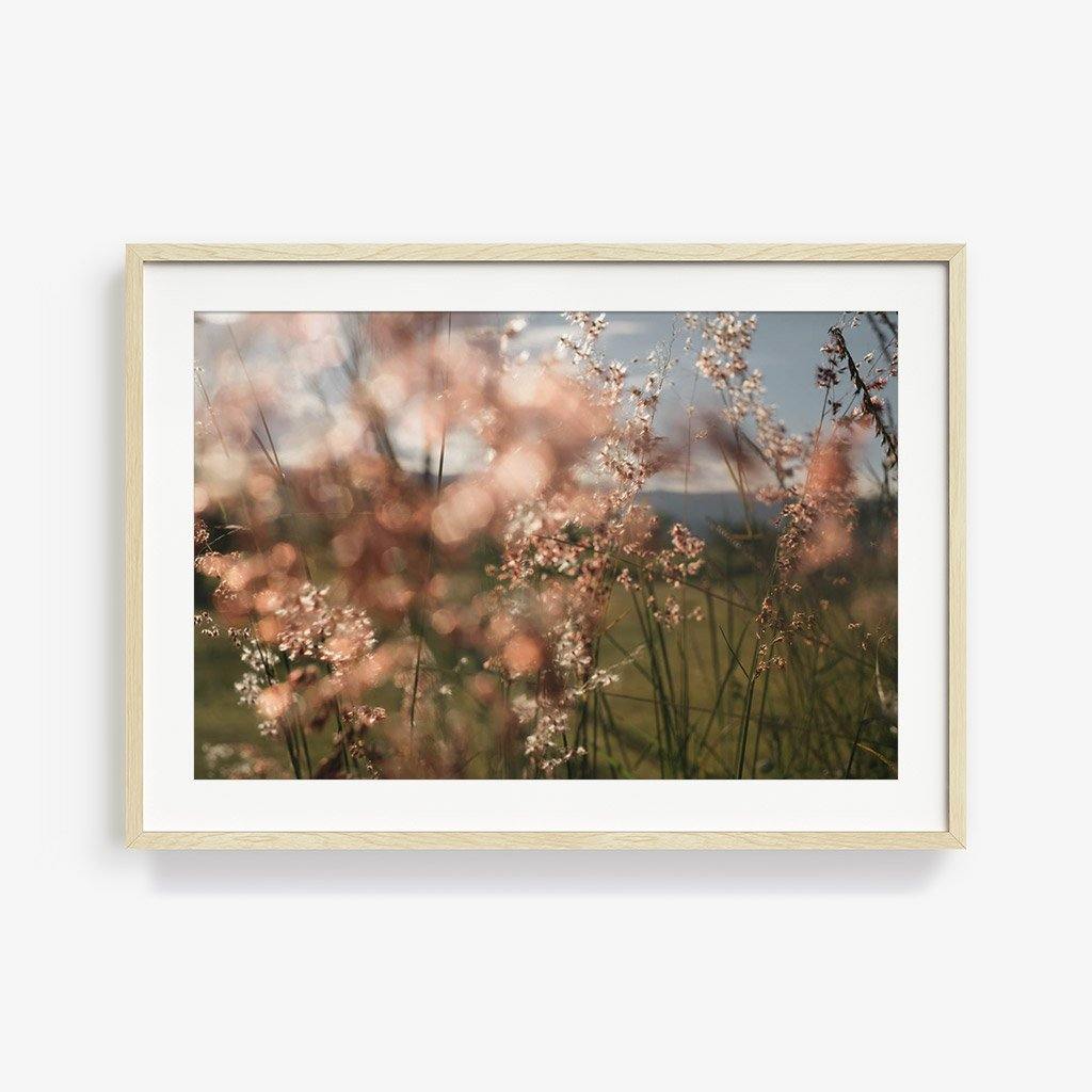 Monte Alban #62, Photography  by  Monte Alban #62 Tappan
