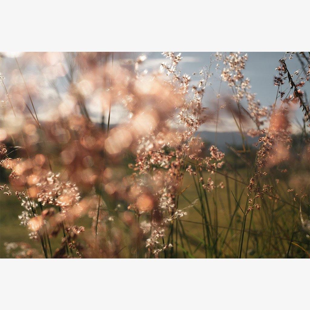Monte Alban #62, Photography  by  Monte Alban #62 Tappan