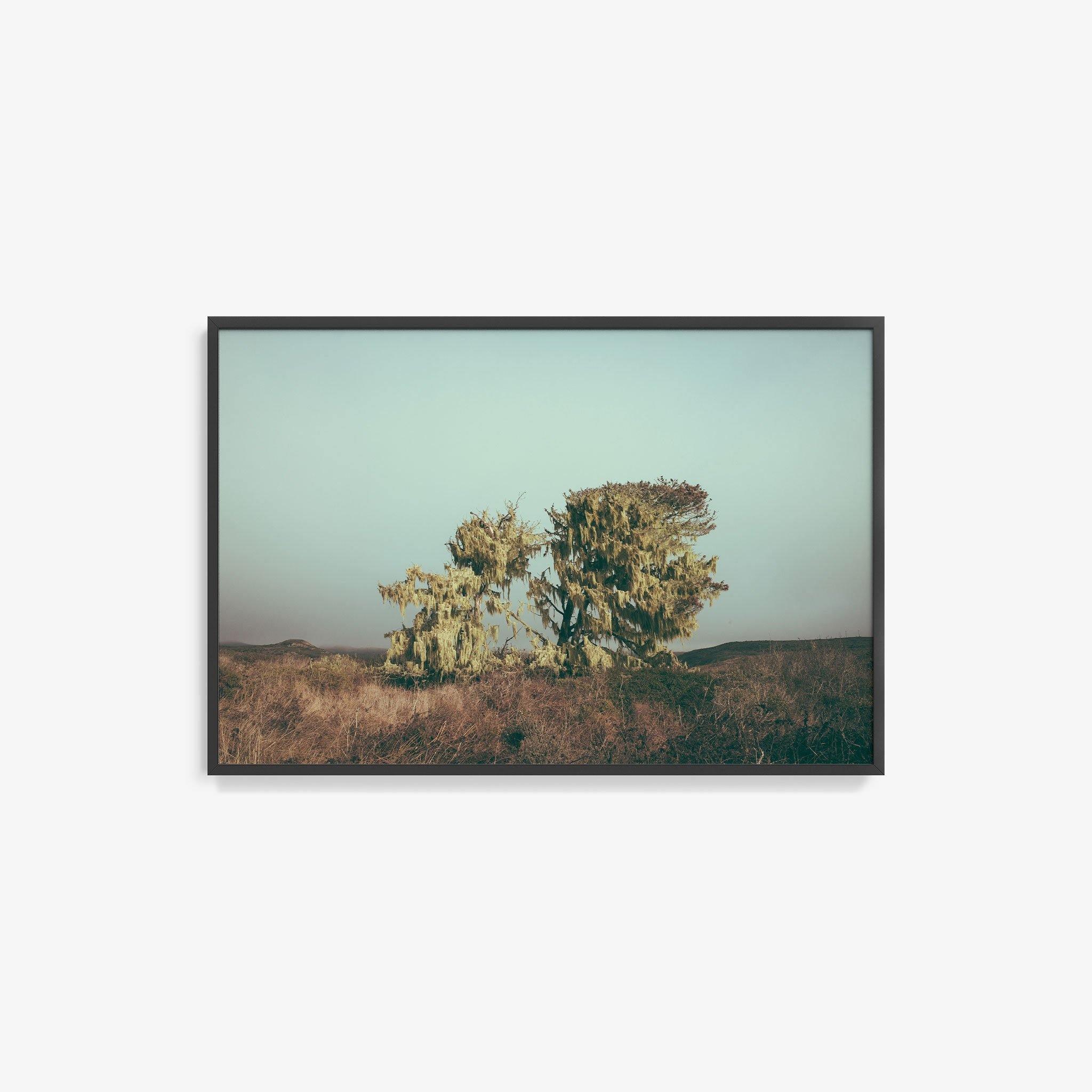 Photograph by Marc Gabor