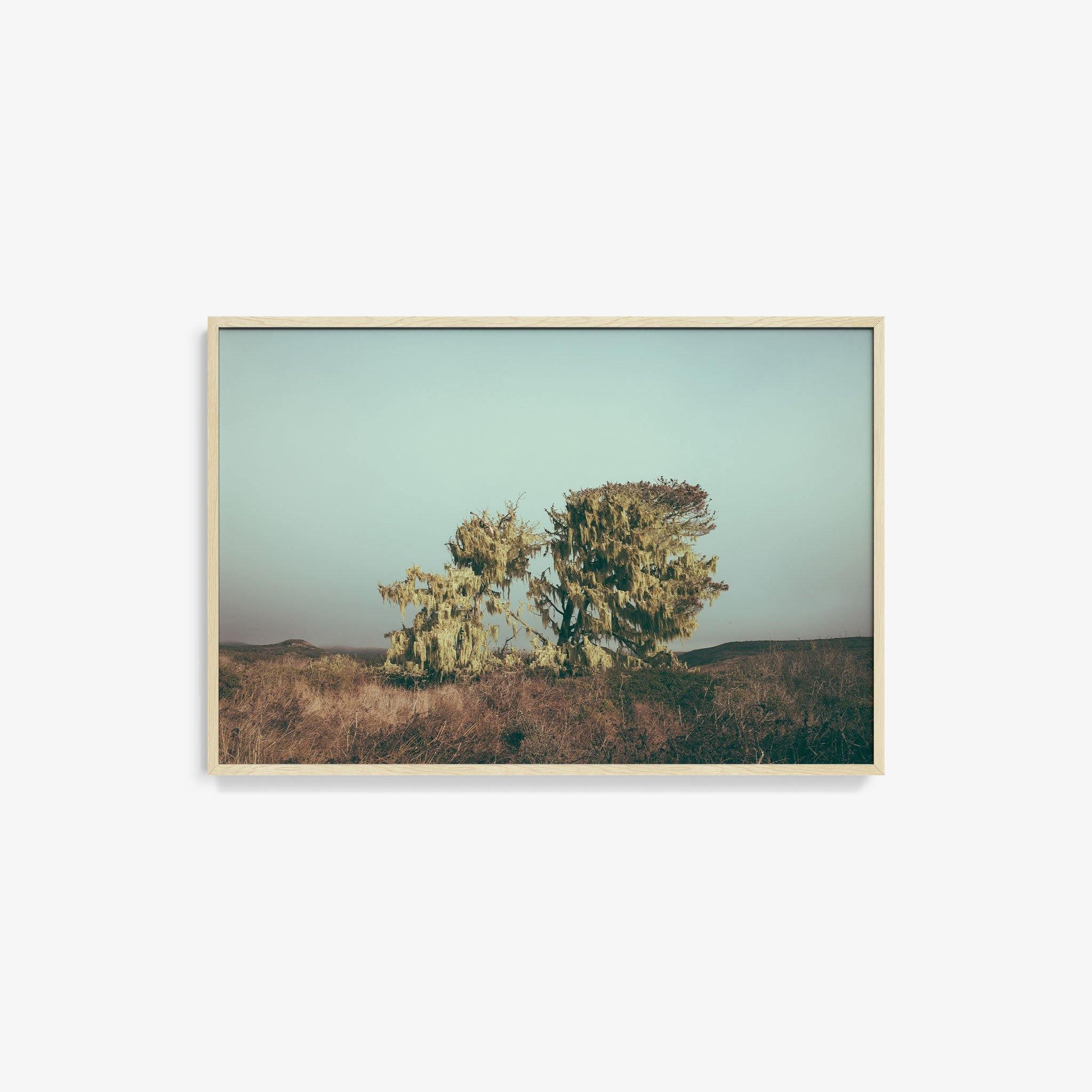 Photograph by Marc Gabor