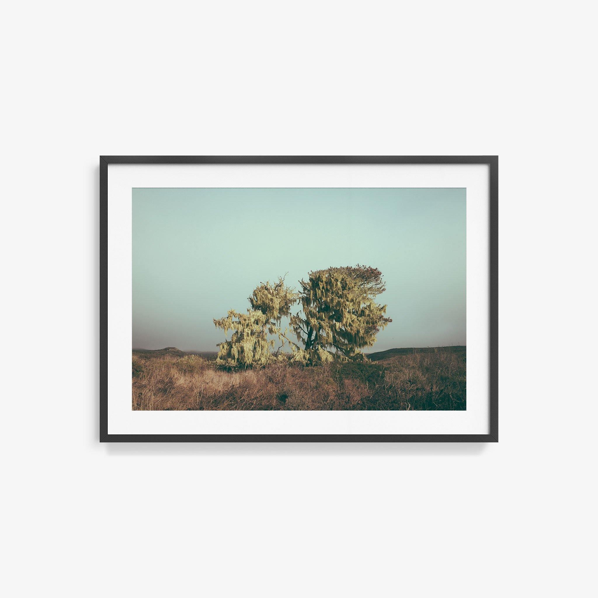 Photograph by Marc Gabor