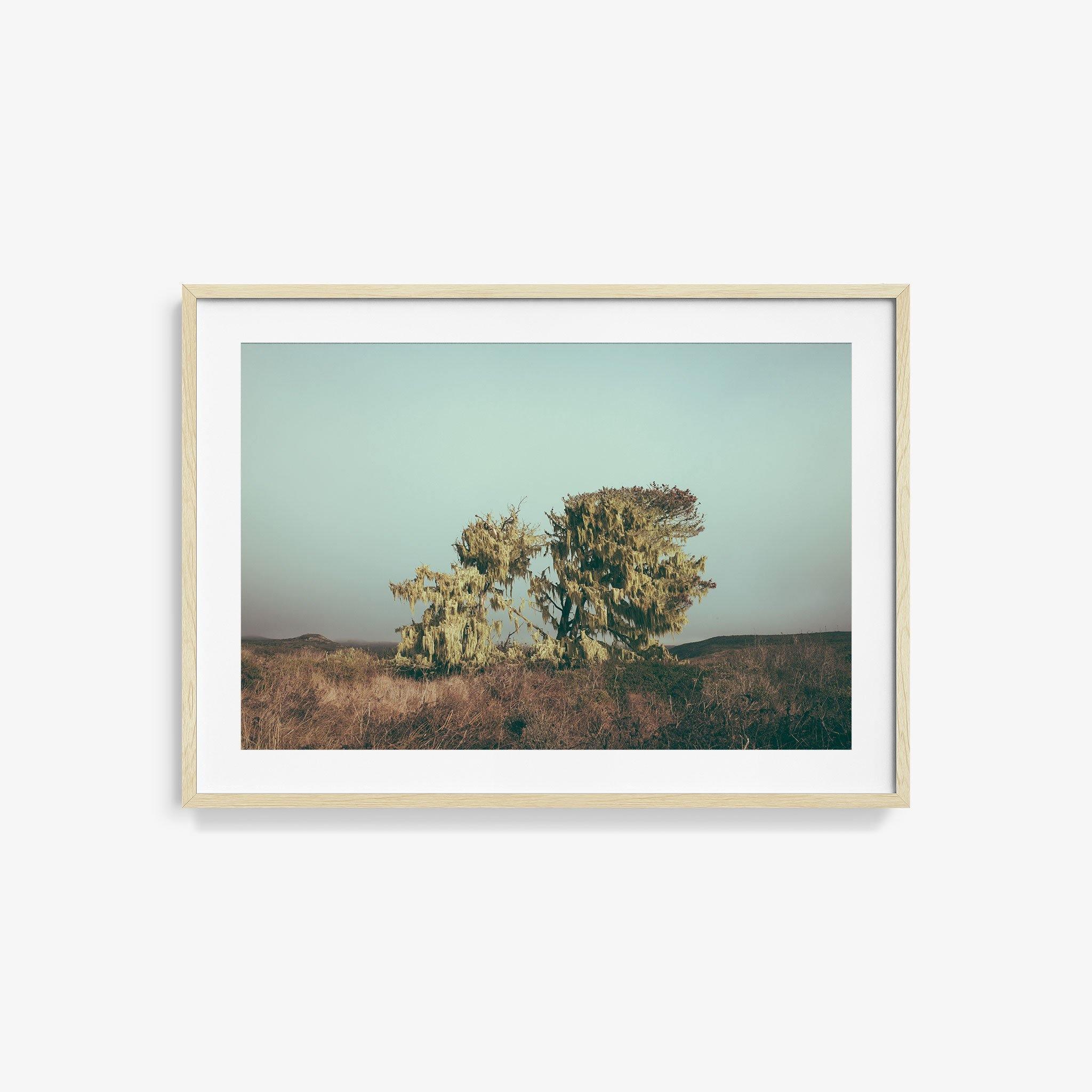 Photograph by Marc Gabor