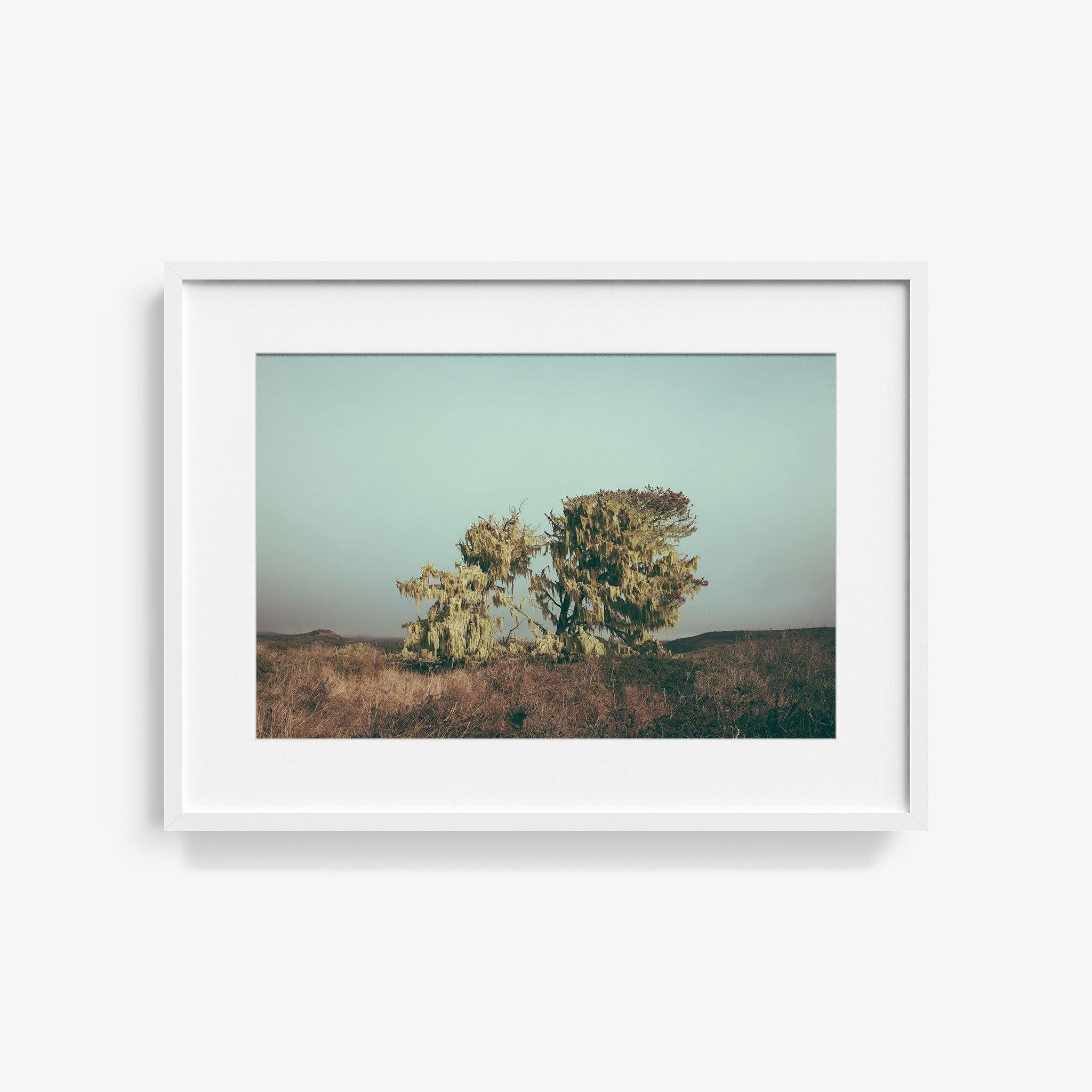 Photograph by Marc Gabor