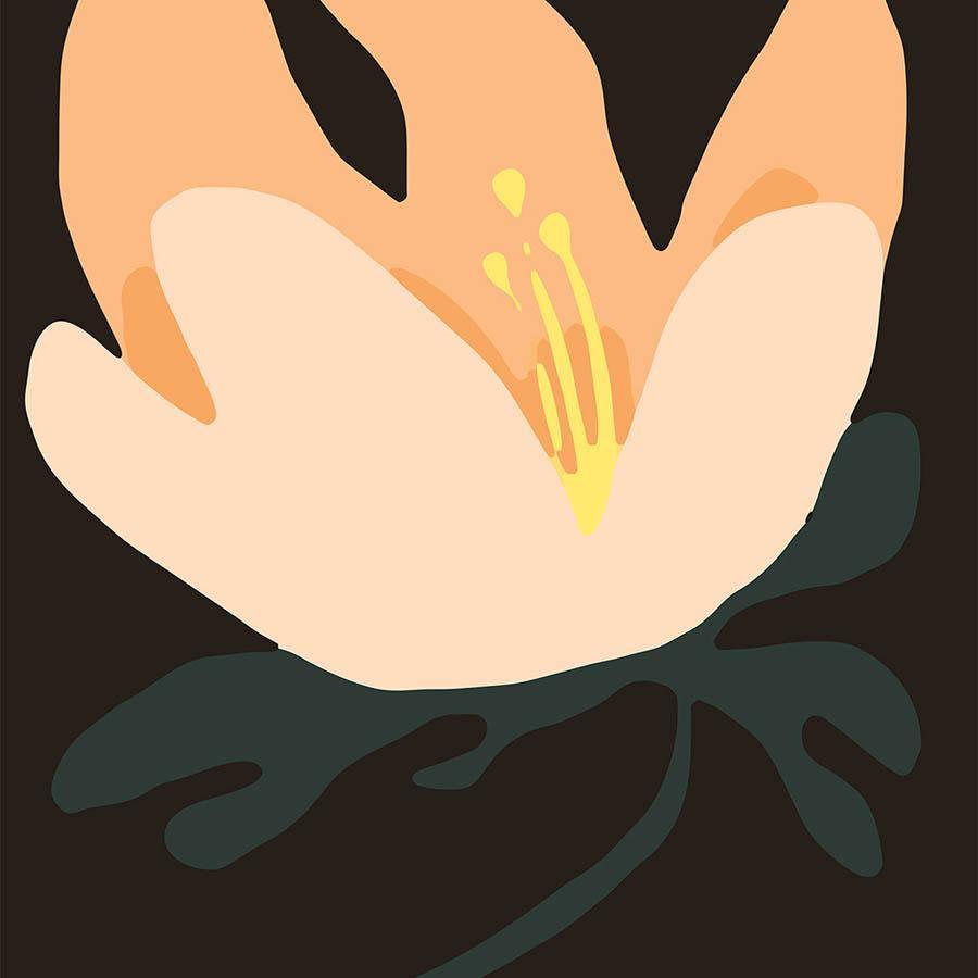 Melancholy Bloom, Print  by  Melancholy Bloom Tappan