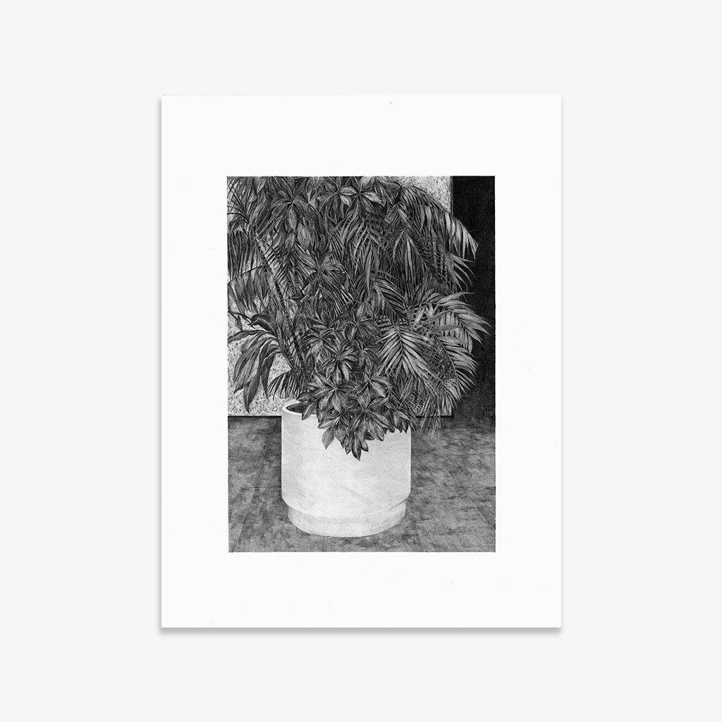 Print by Martinet & Texereau
