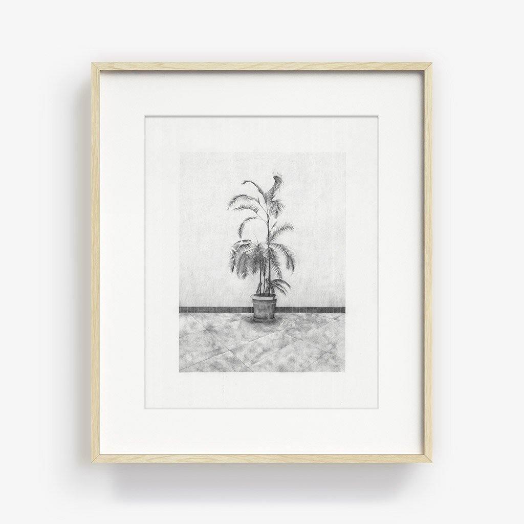 Print by Martinet & Texereau