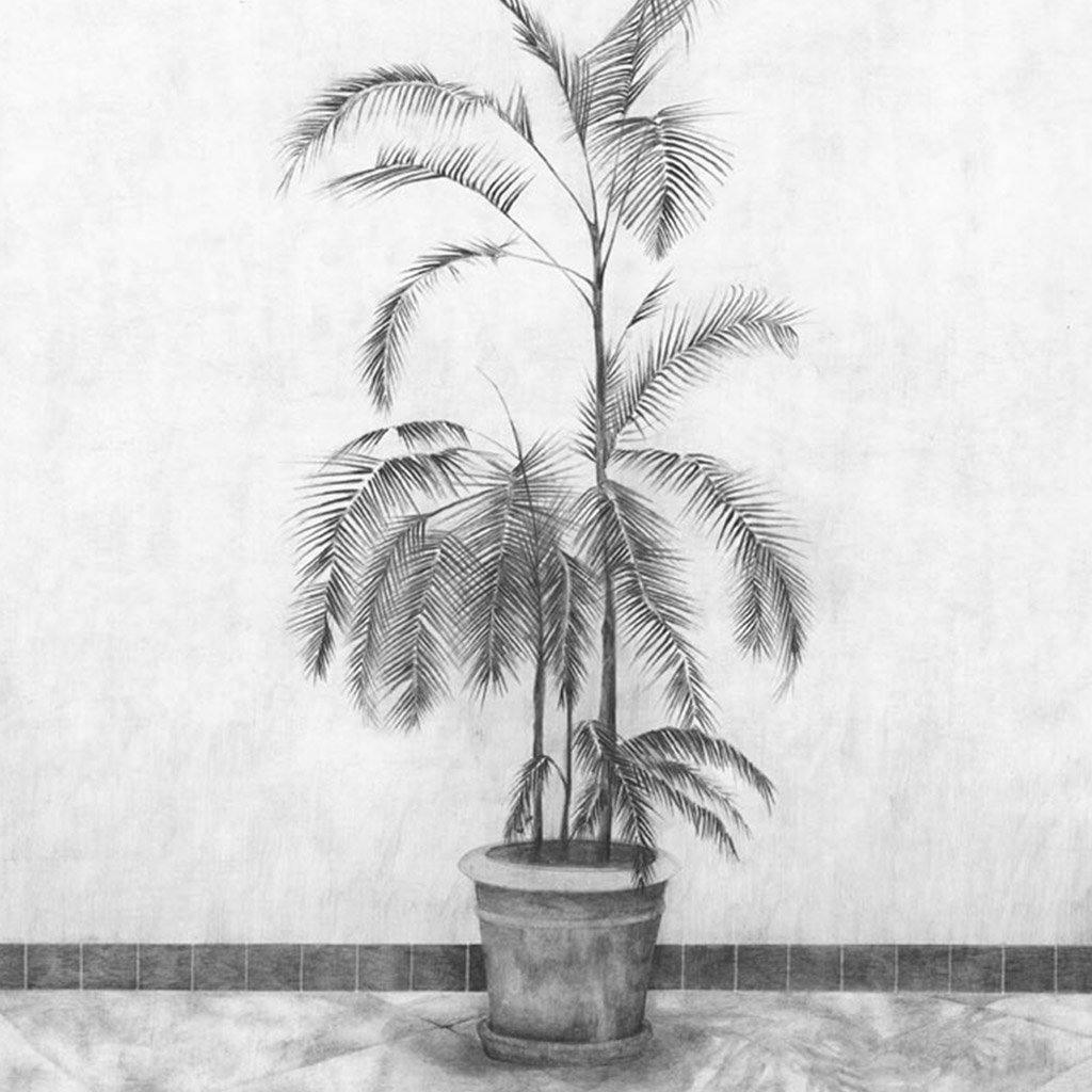 Print by Martinet & Texereau
