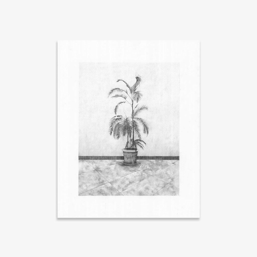 Print by Martinet & Texereau