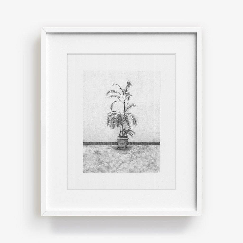 Print by Martinet & Texereau