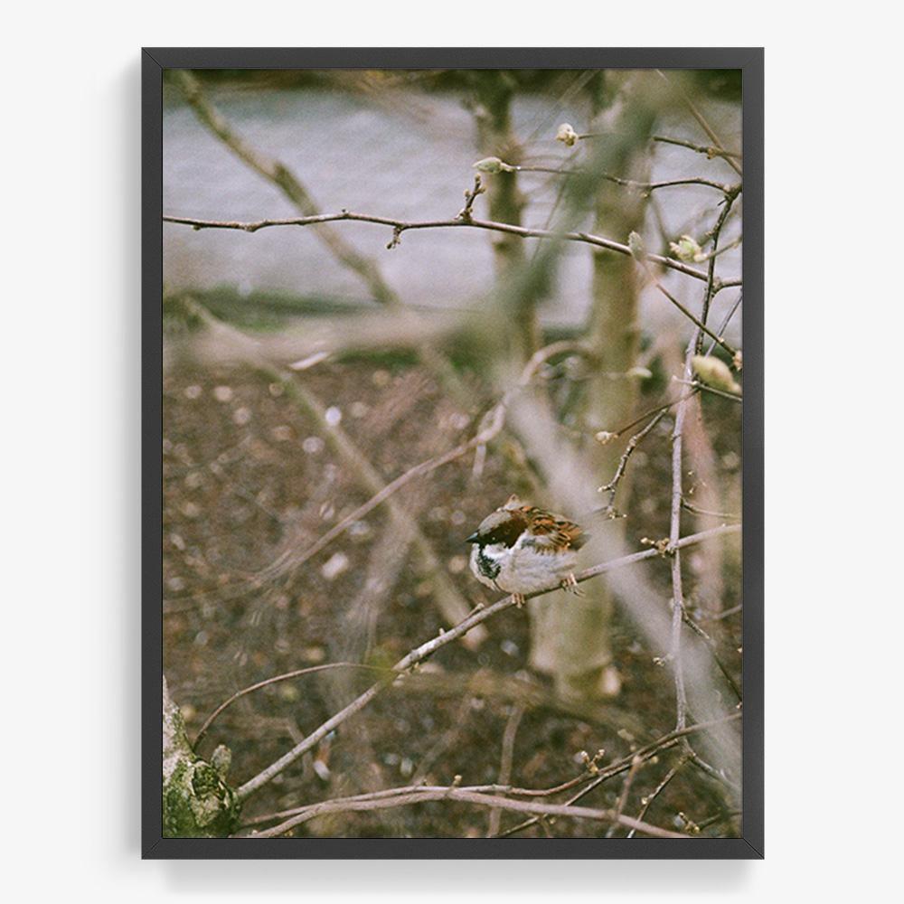 Photograph by Johanna Tagada Hoffbeck