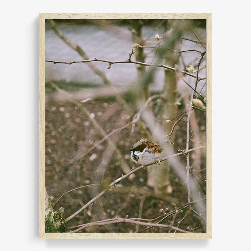 Photograph by Johanna Tagada Hoffbeck