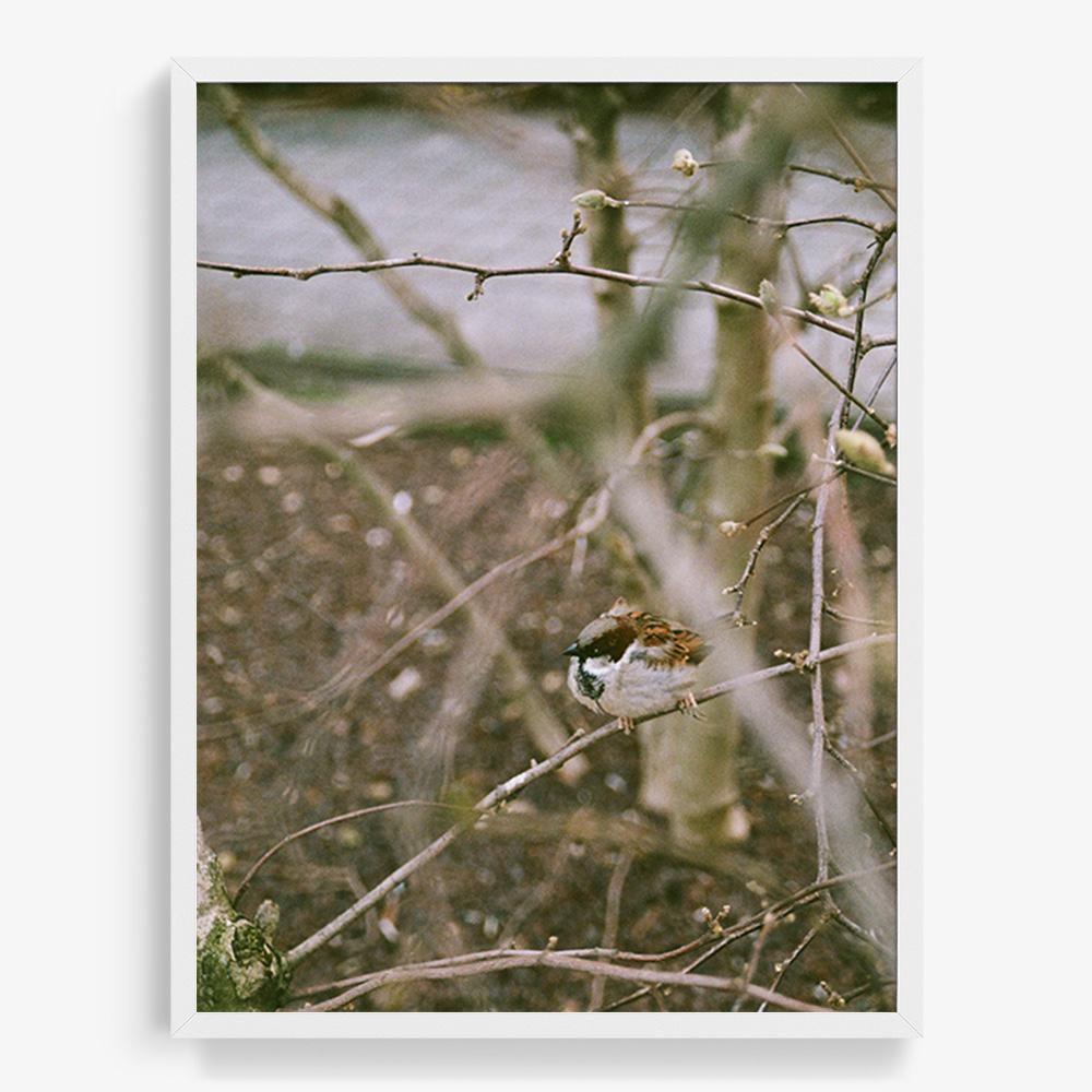 Photograph by Johanna Tagada Hoffbeck