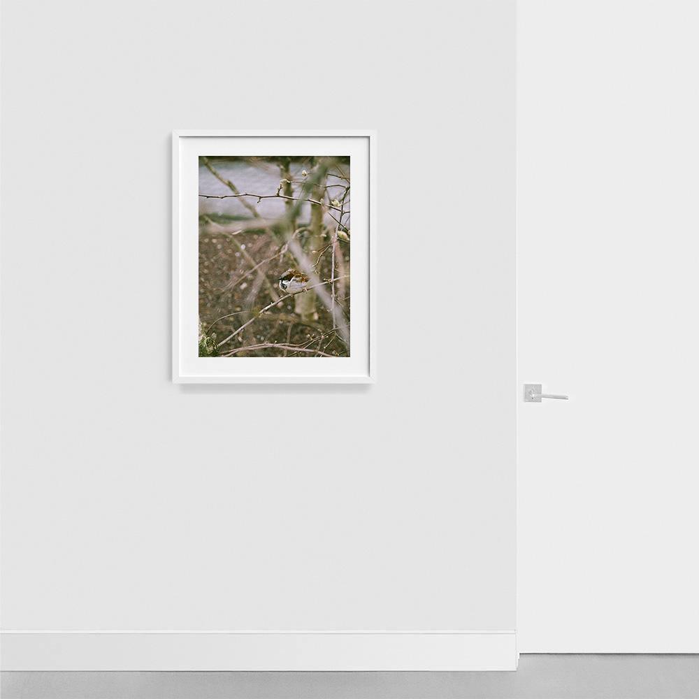 Photograph by Johanna Tagada Hoffbeck