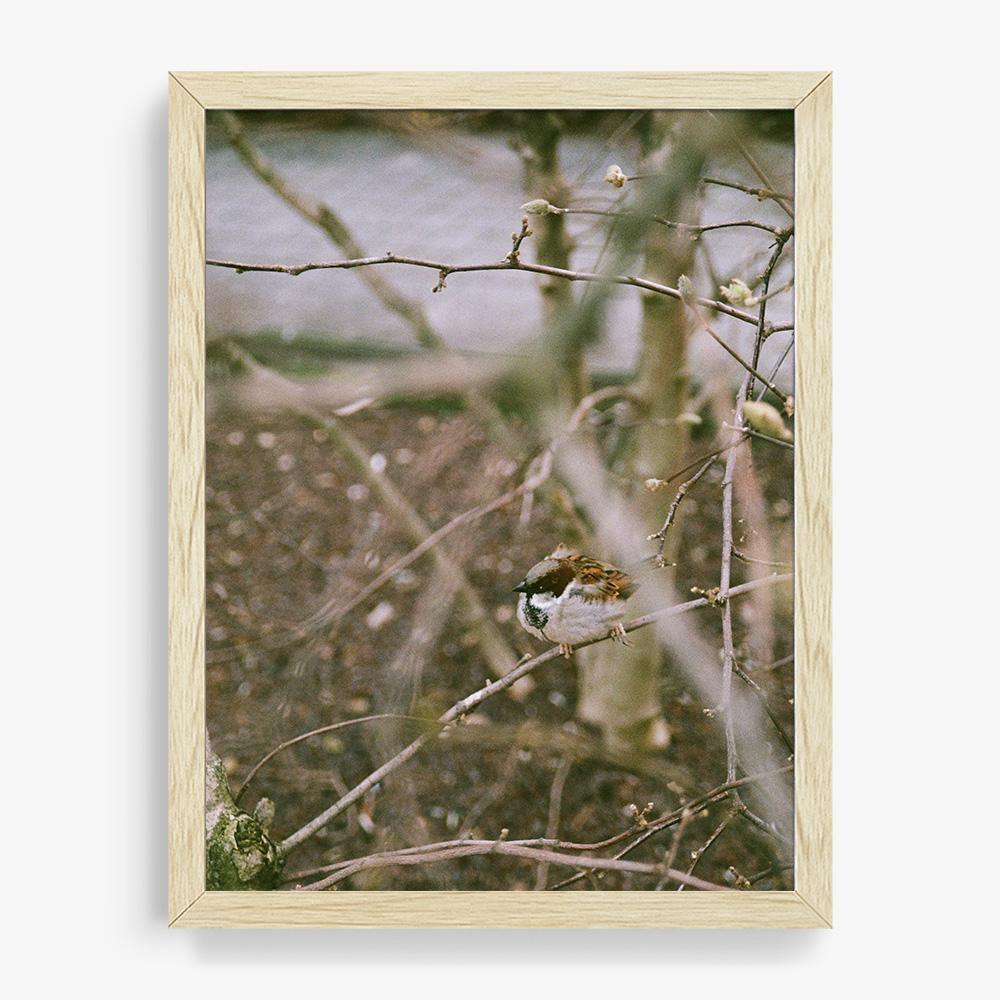 Photograph by Johanna Tagada Hoffbeck