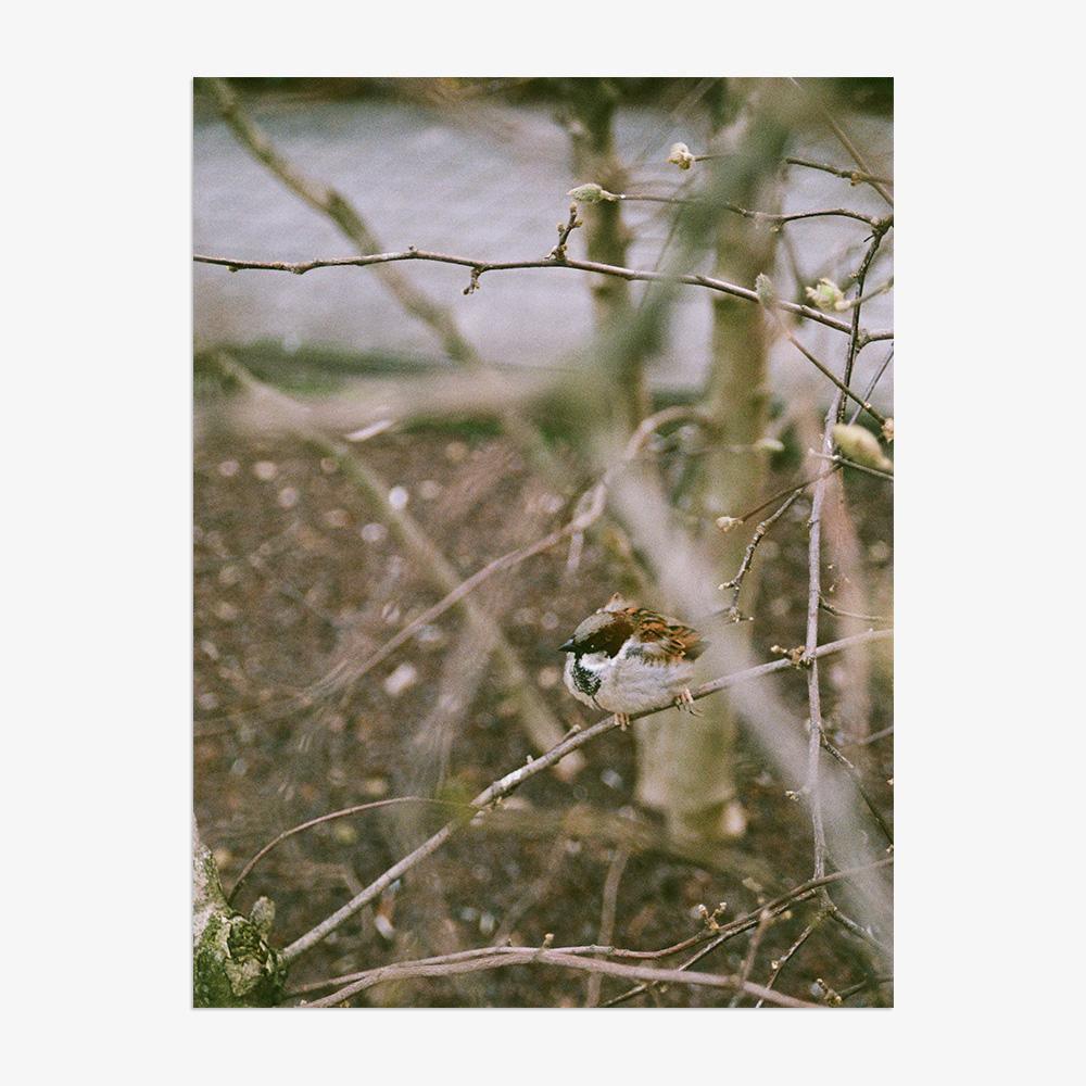 Photograph by Johanna Tagada Hoffbeck