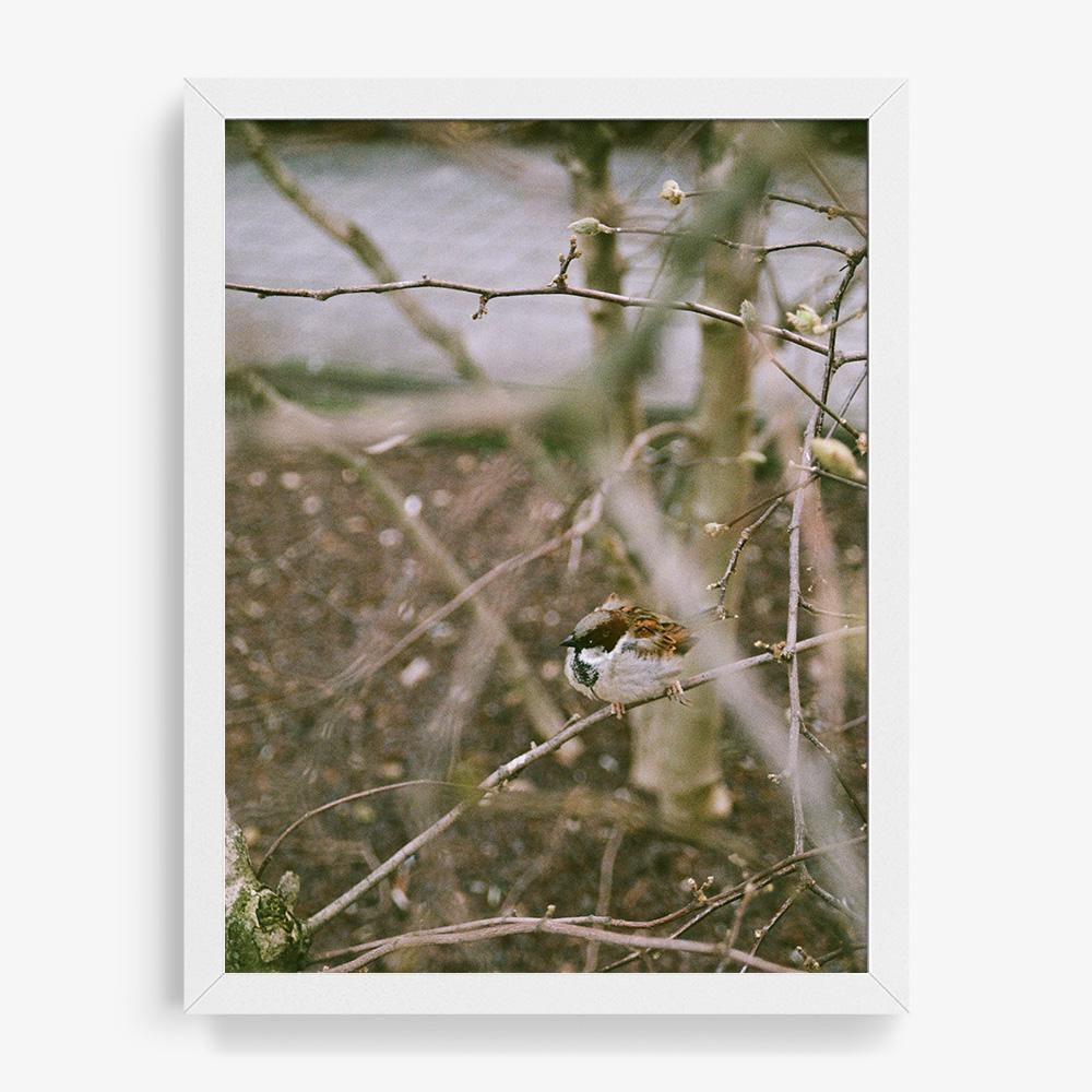 Photograph by Johanna Tagada Hoffbeck