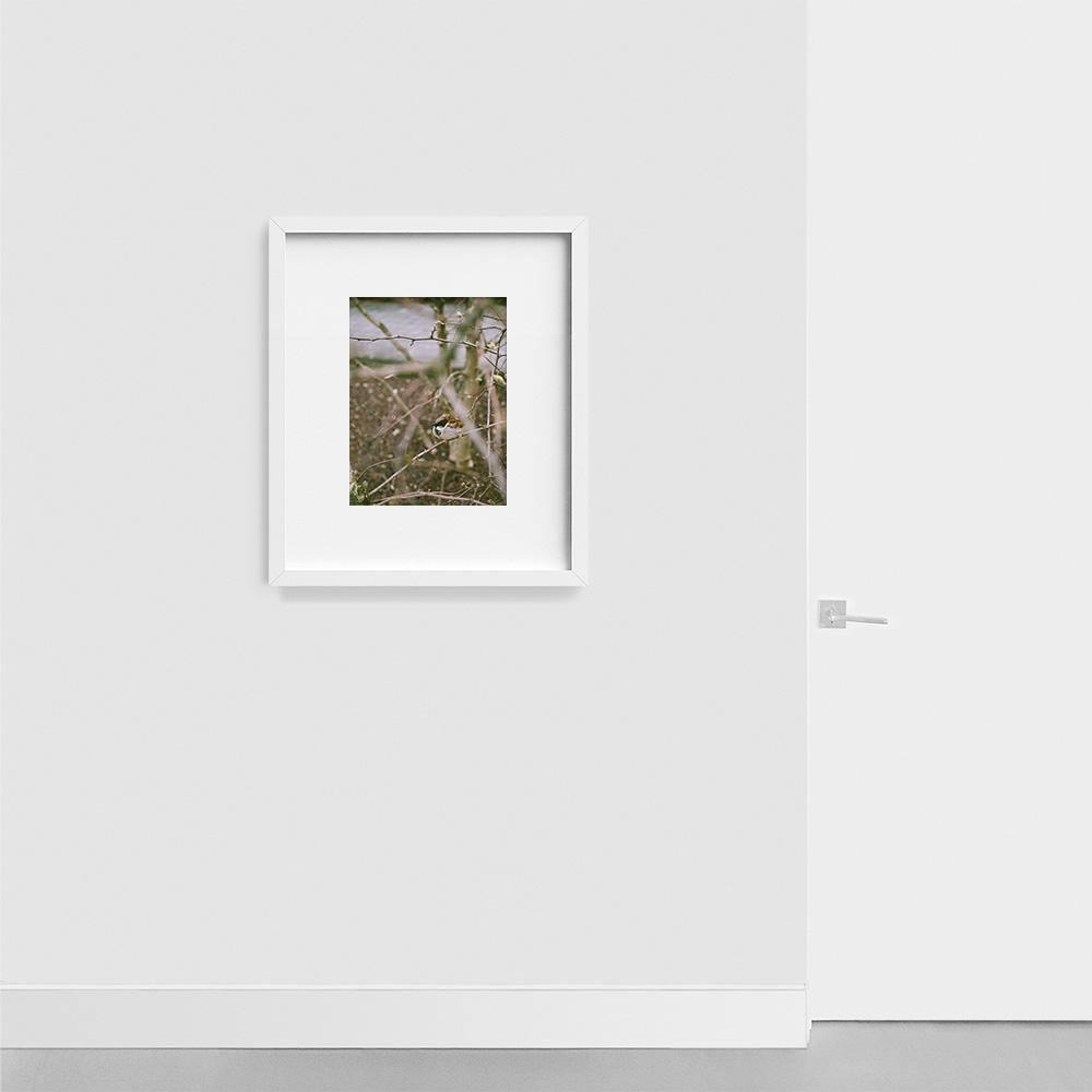 Photograph by Johanna Tagada Hoffbeck