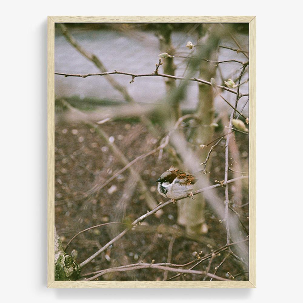 Photograph by Johanna Tagada Hoffbeck
