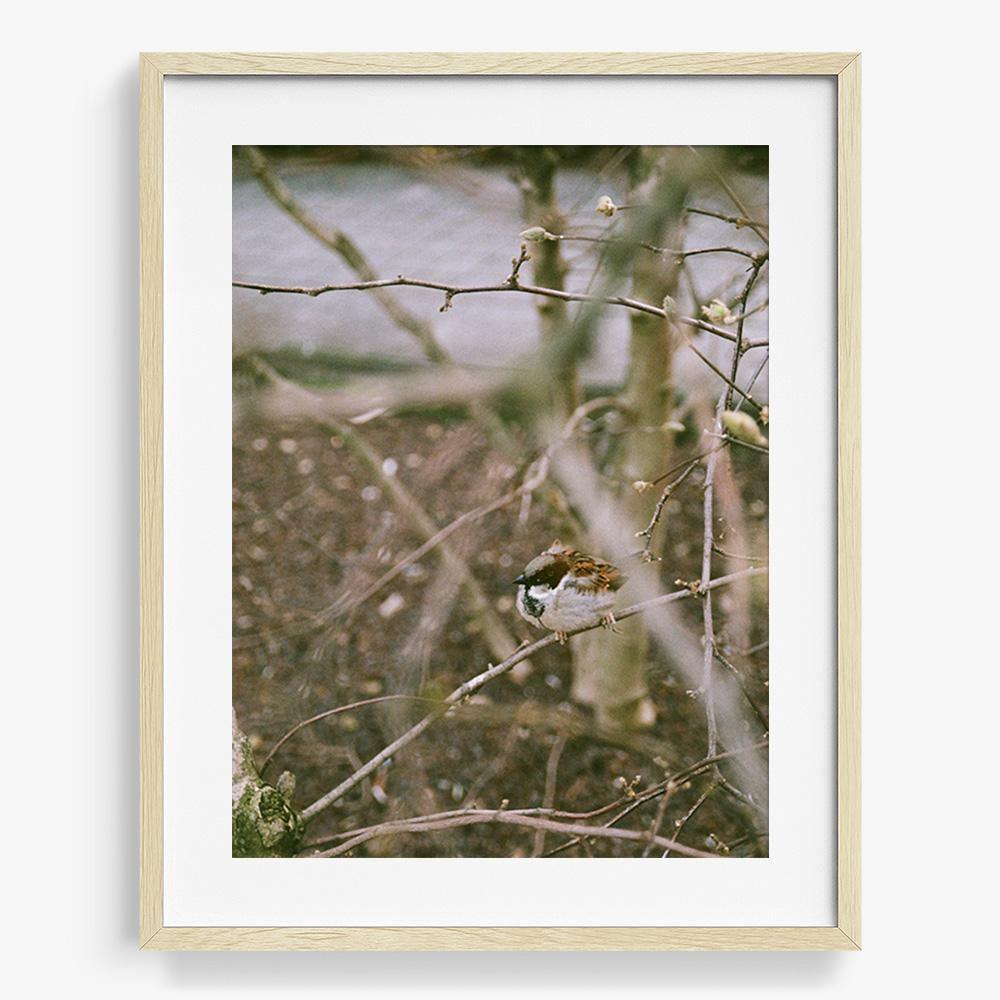 Photograph by Johanna Tagada Hoffbeck
