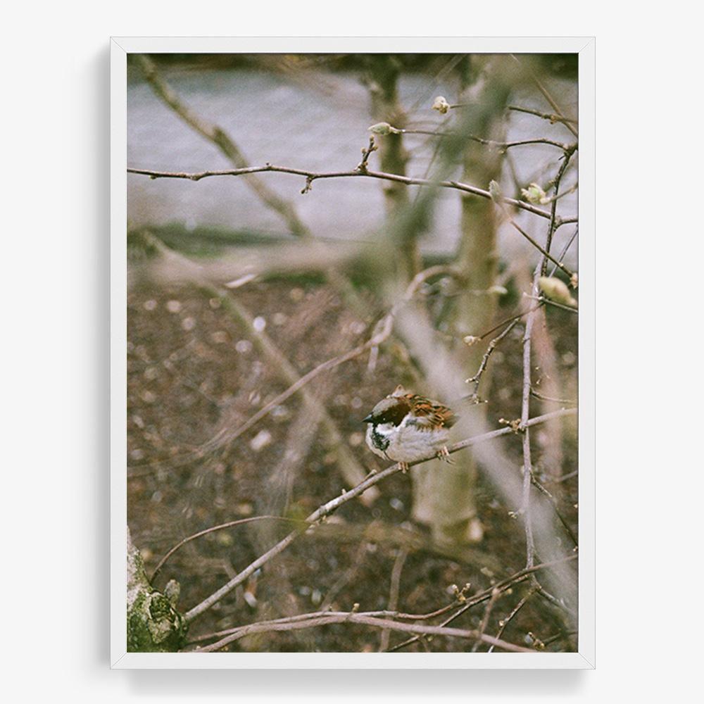 Photograph by Johanna Tagada Hoffbeck