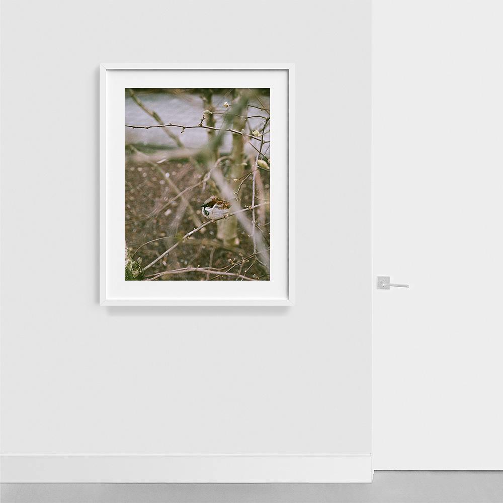 Photograph by Johanna Tagada Hoffbeck