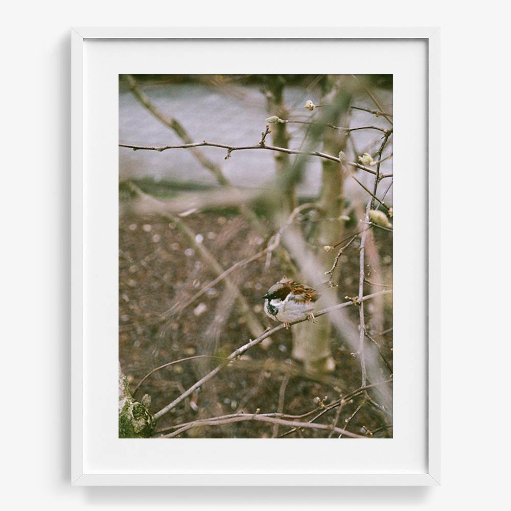 Photograph by Johanna Tagada Hoffbeck