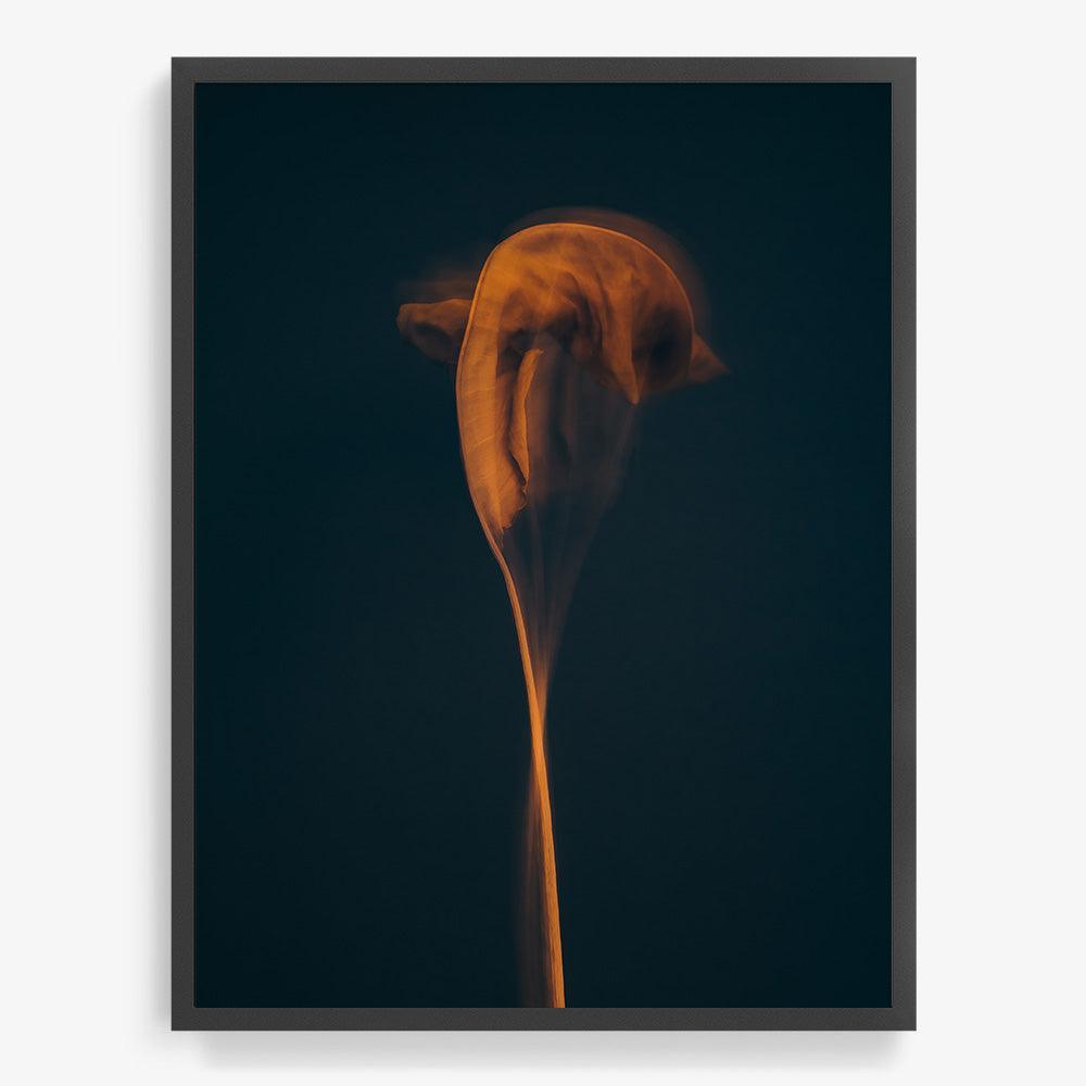Photograph by Jan Prengel