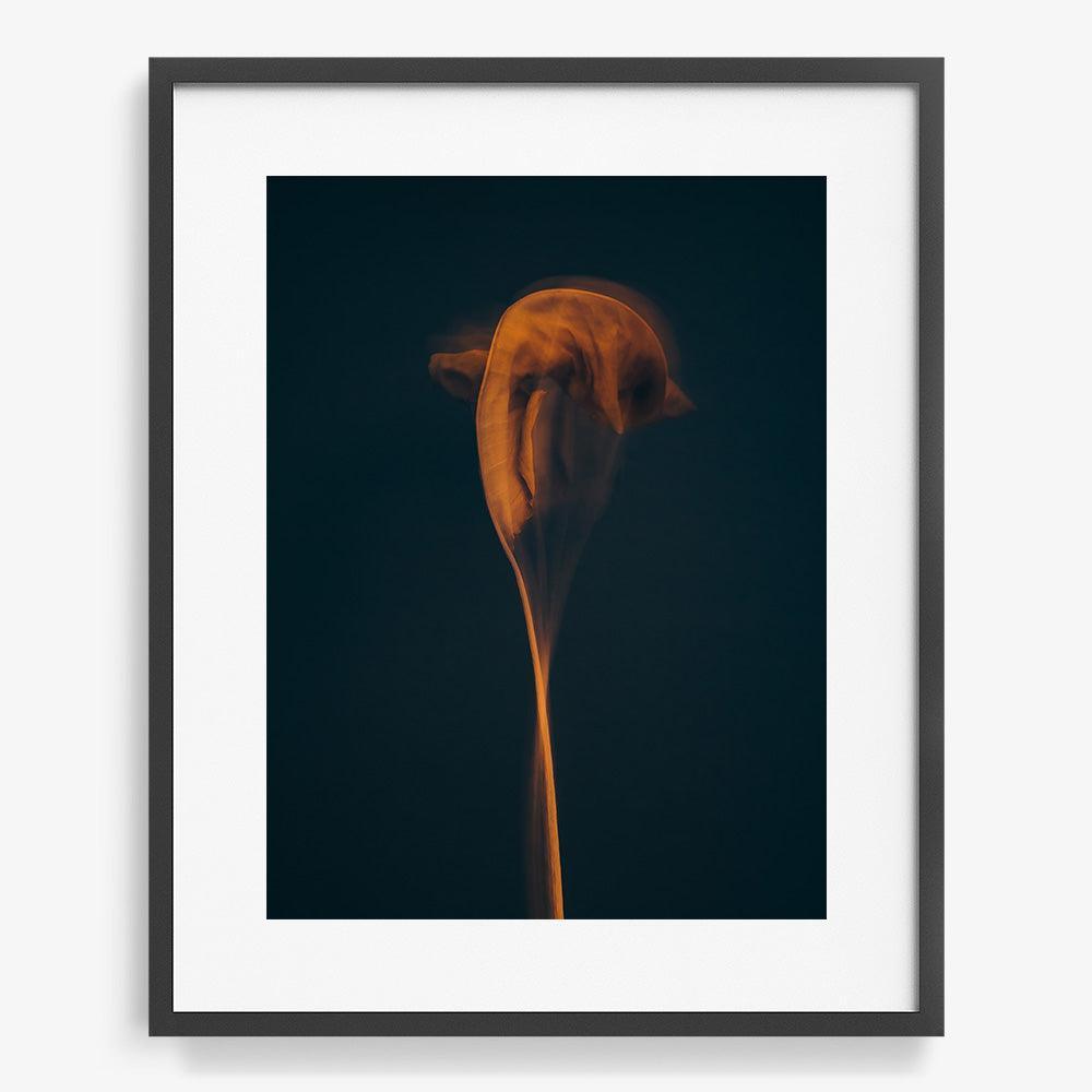 Photograph by Jan Prengel