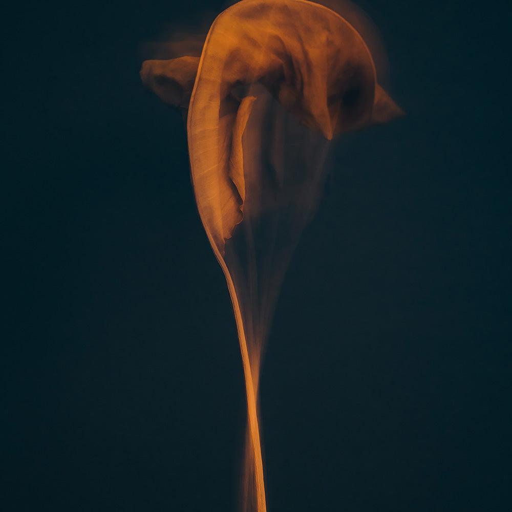 Photograph by Jan Prengel